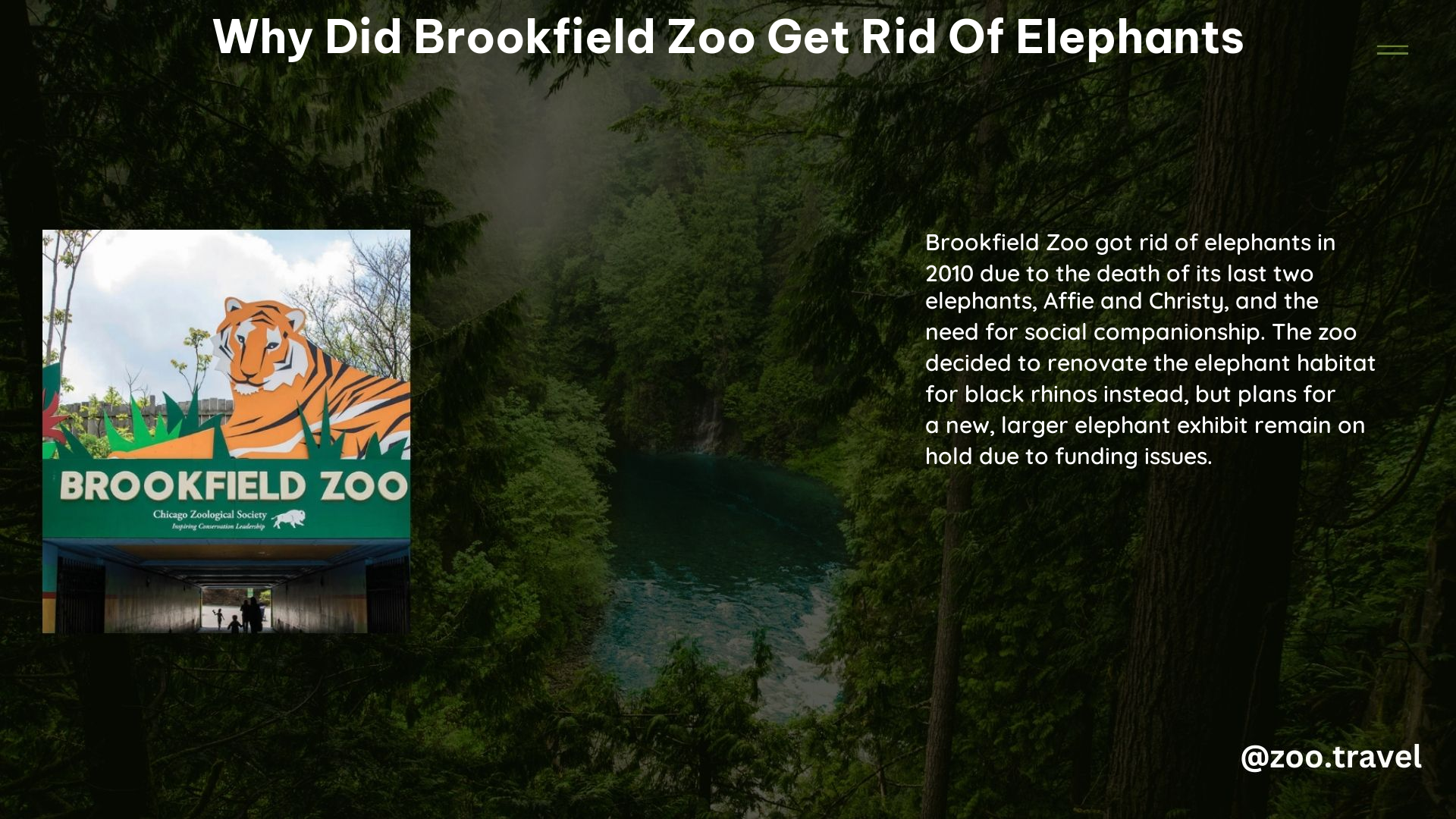 Why Did Brookfield Zoo Get Rid of Elephants