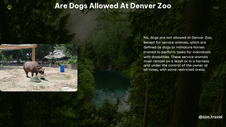 Are Dogs Allowed at Denver Zoo