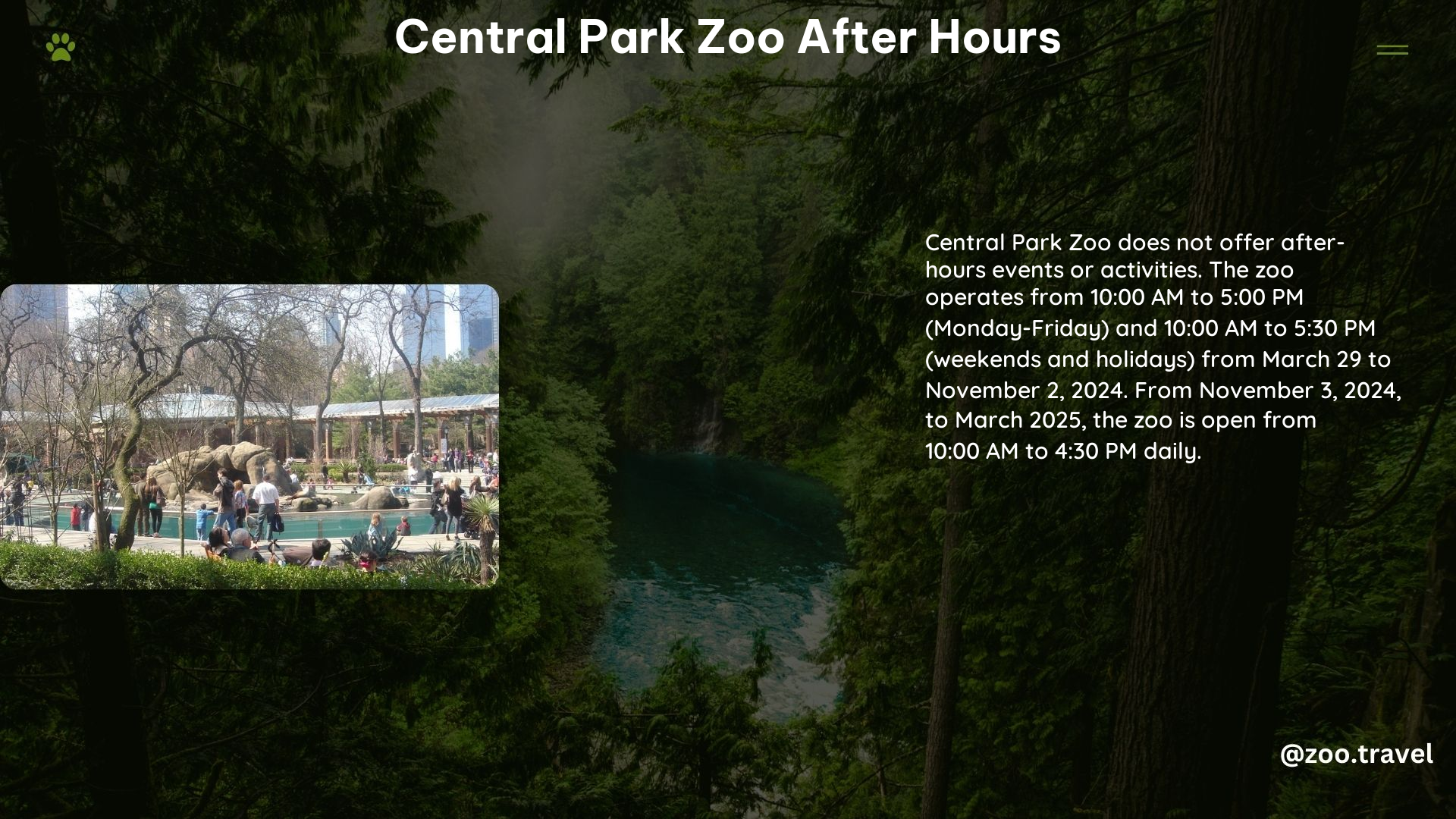 Central Park Zoo After Hours