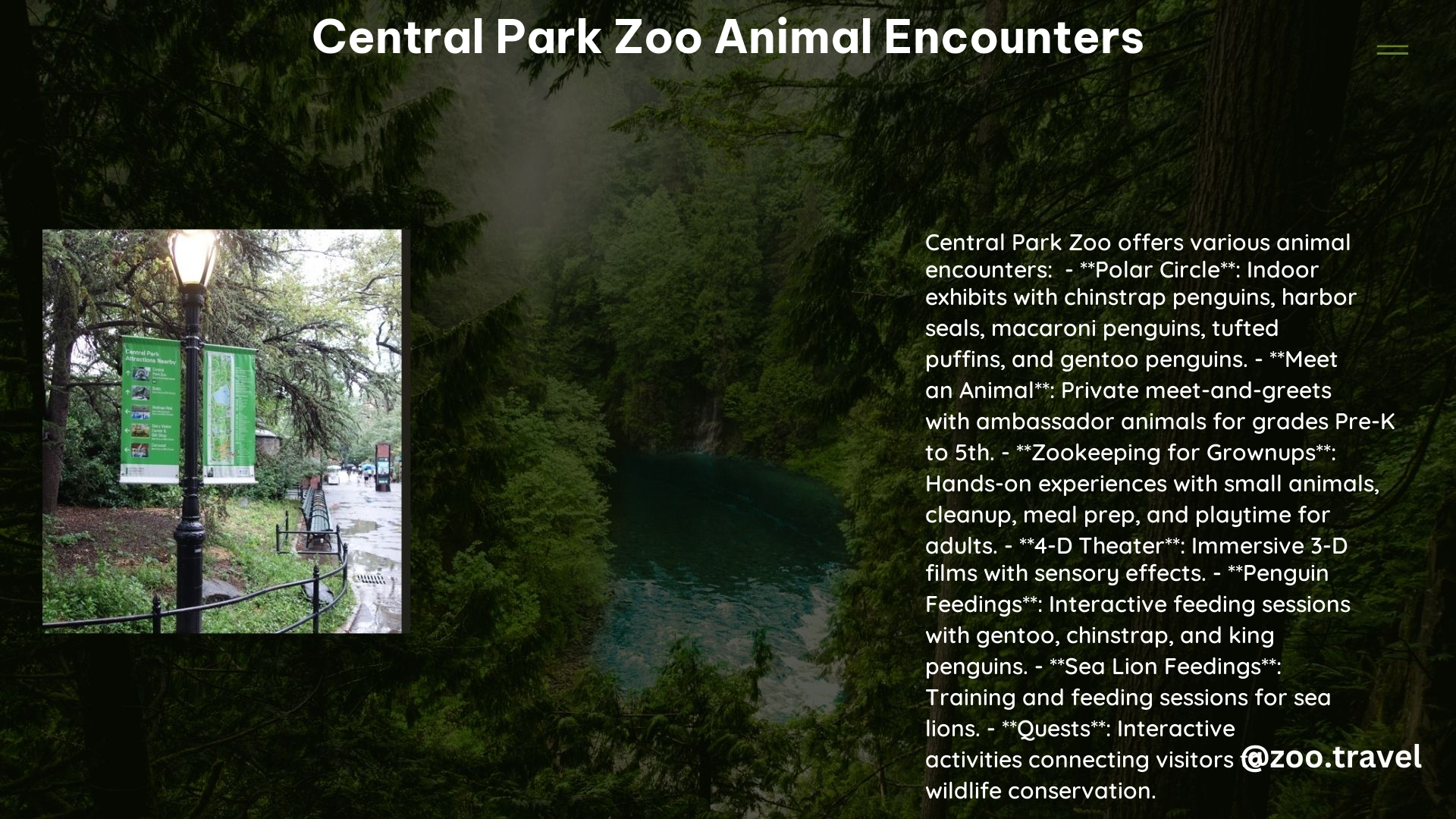 Central Park Zoo Animal Encounters