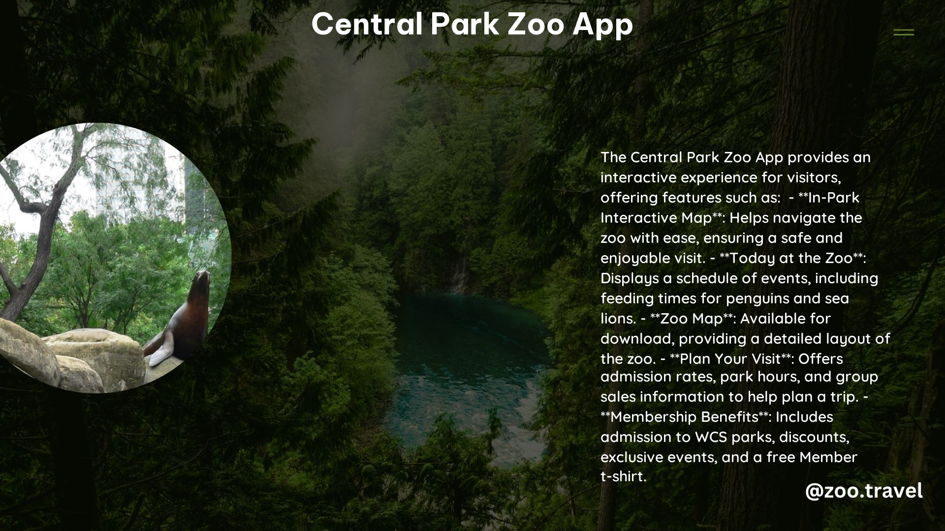 Central Park Zoo App