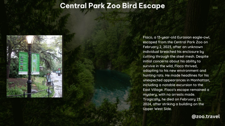 Central Park Zoo Bird Escape