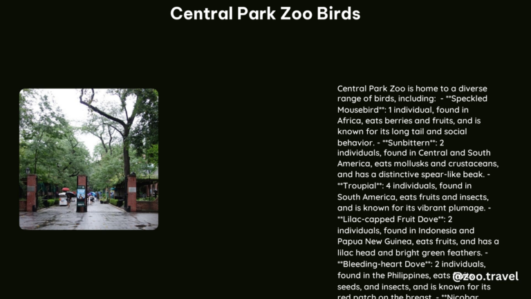 Central Park Zoo Birds