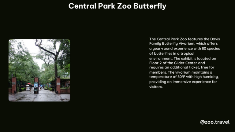 Central Park Zoo Butterfly