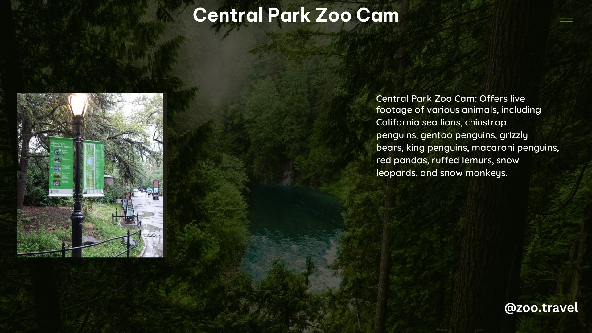 Central Park Zoo Cam