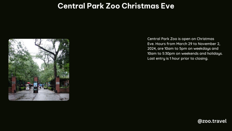 Central Park Zoo Christmas Eve