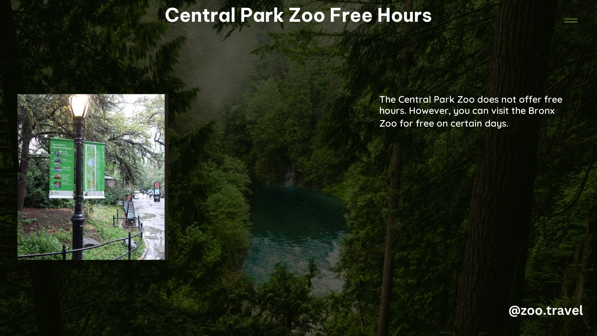 Central Park Zoo Free Hours