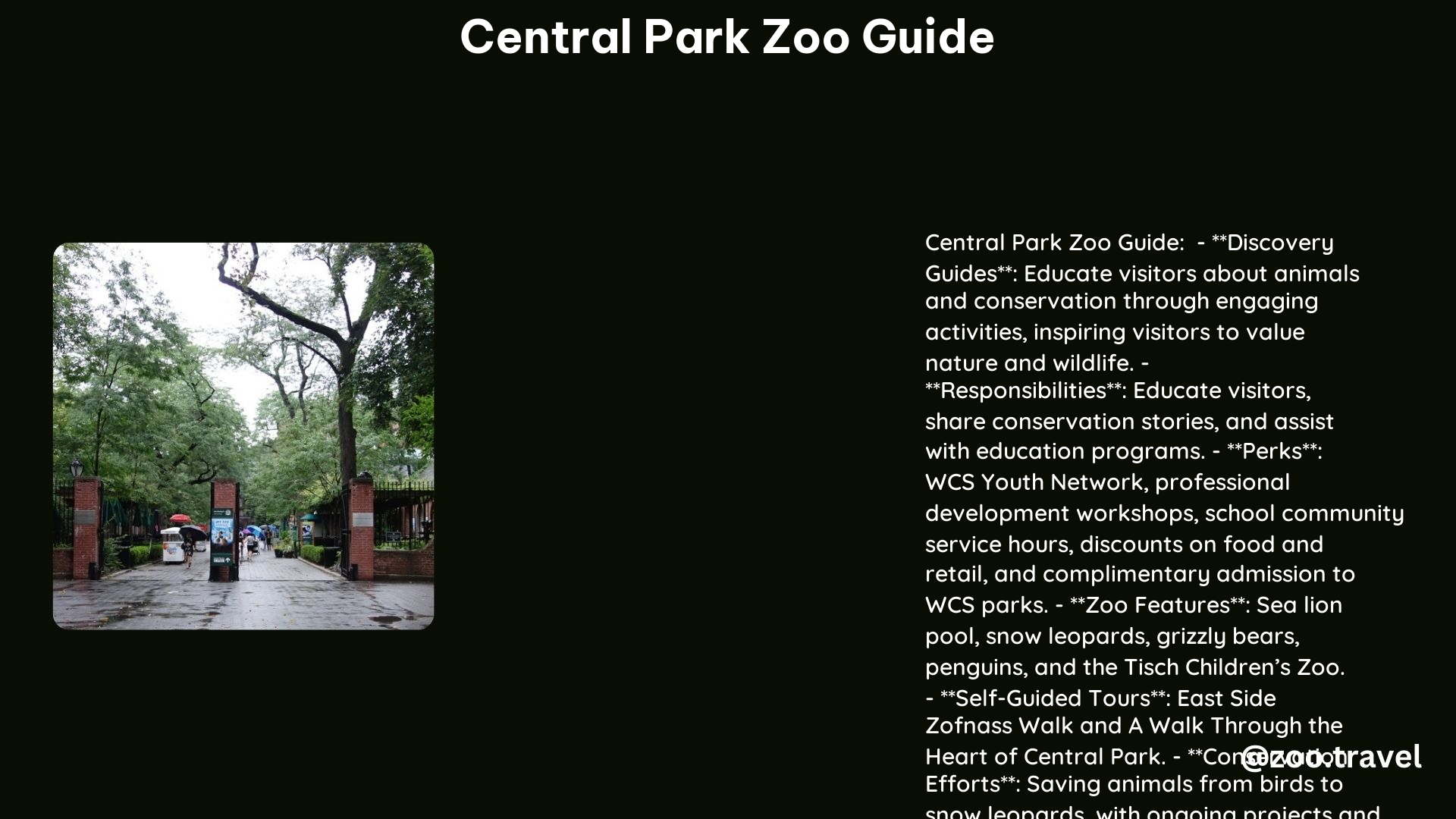 Central Park Zoo Guide