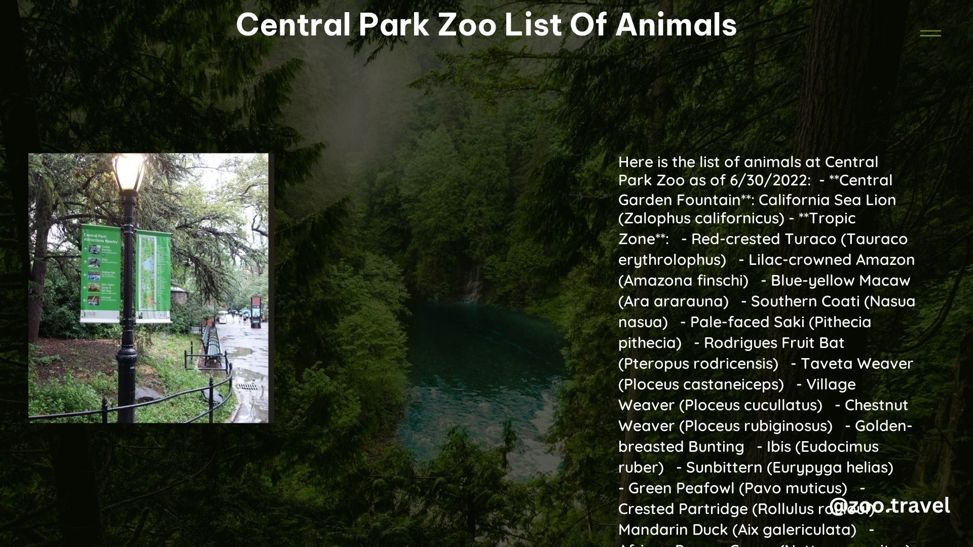 Central Park Zoo List of Animals