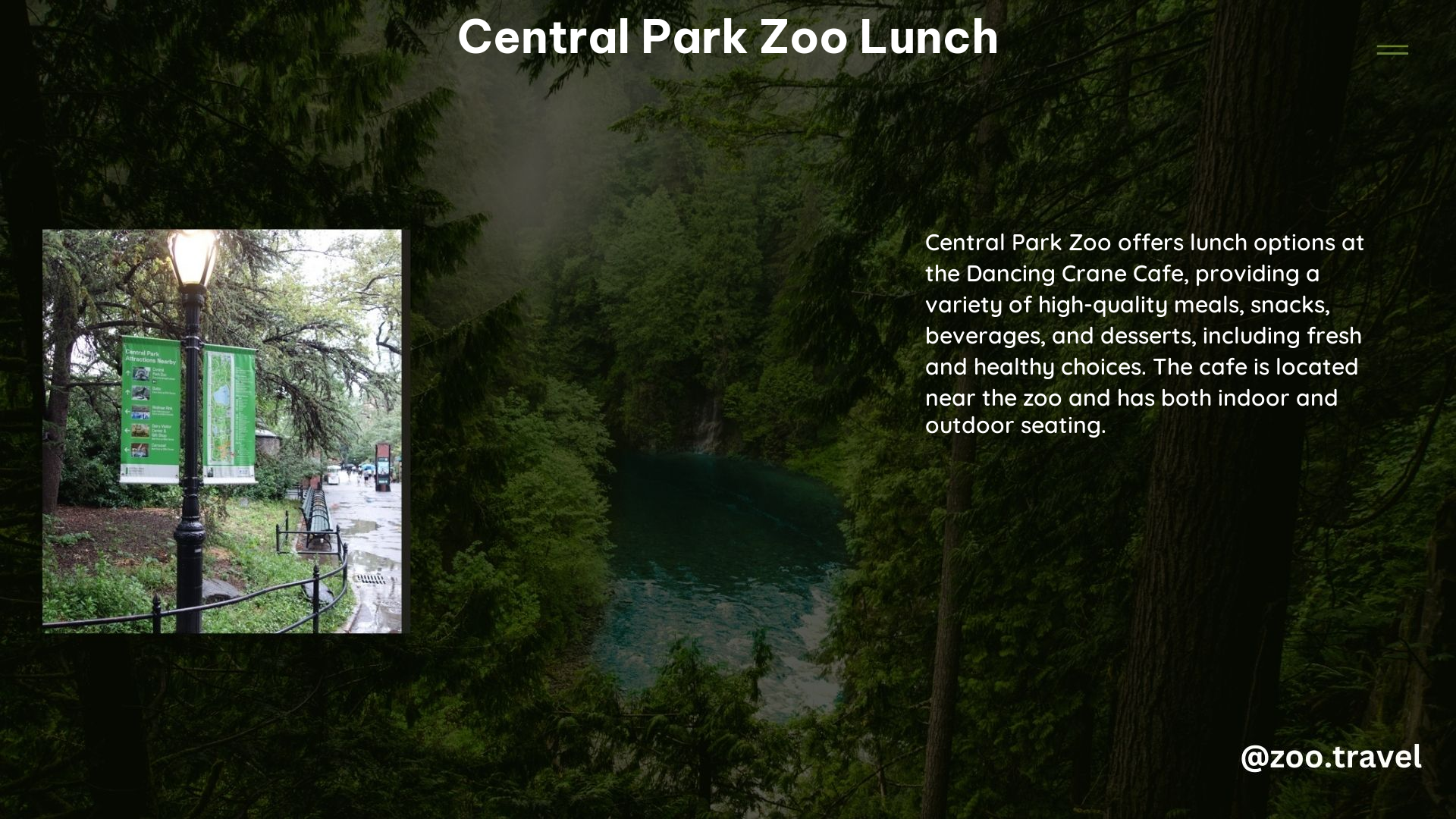 Central Park Zoo Lunch