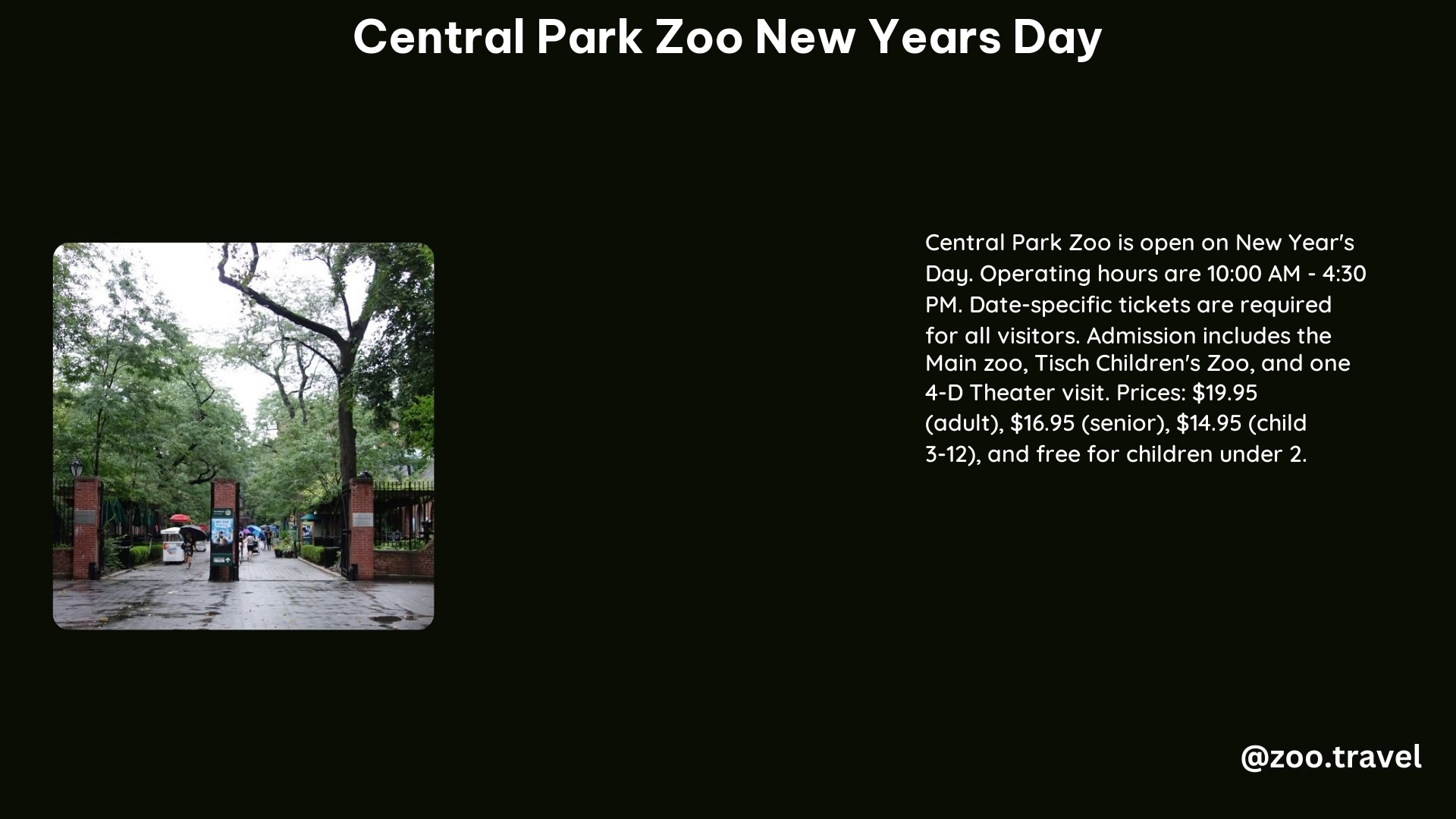 Central Park Zoo New Years Day