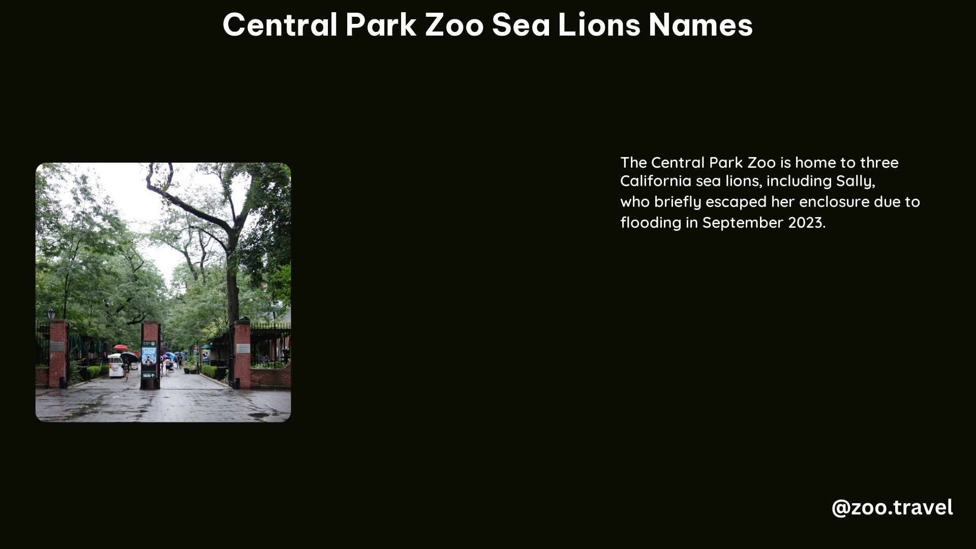 Central Park Zoo Sea Lions Names