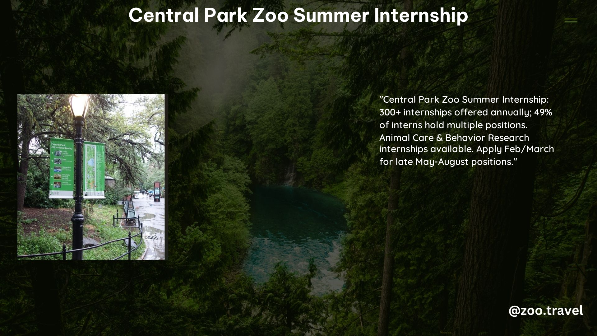 Central Park Zoo Summer Internship