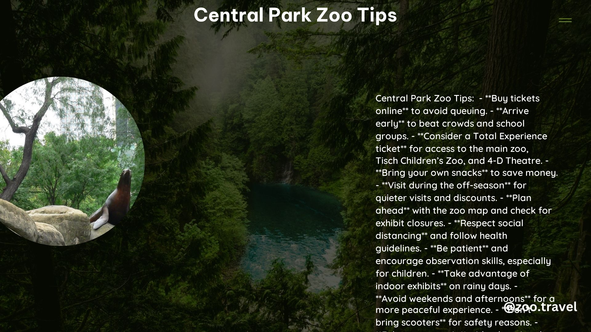 Central Park Zoo Tips