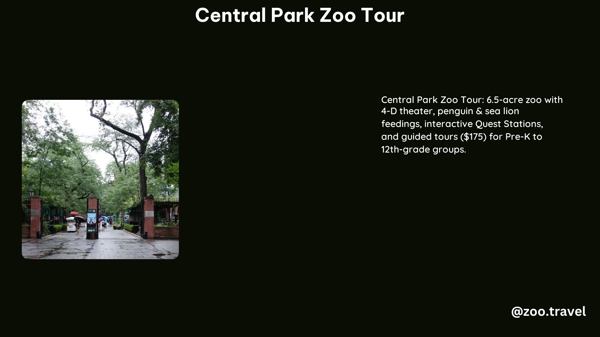 Central Park Zoo Tour