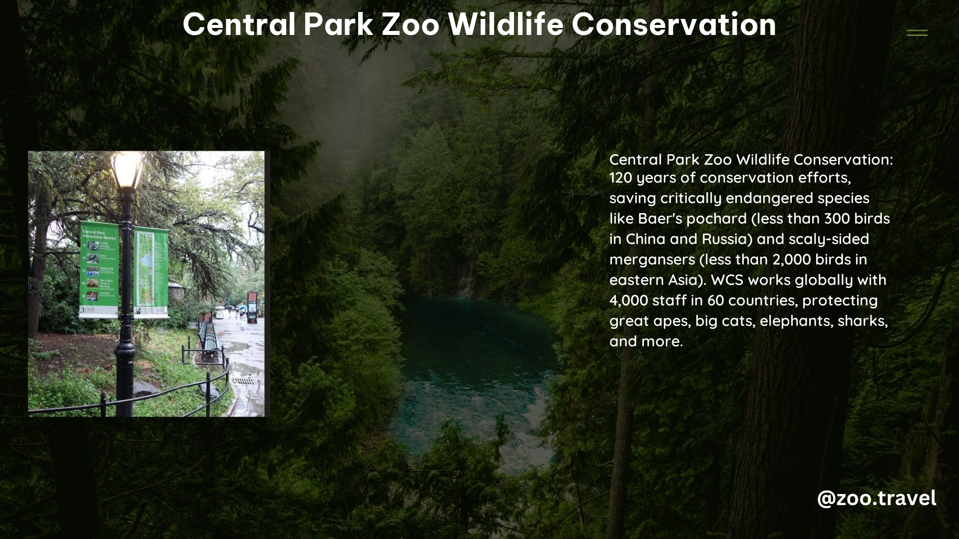 Central Park Zoo Wildlife Conservation