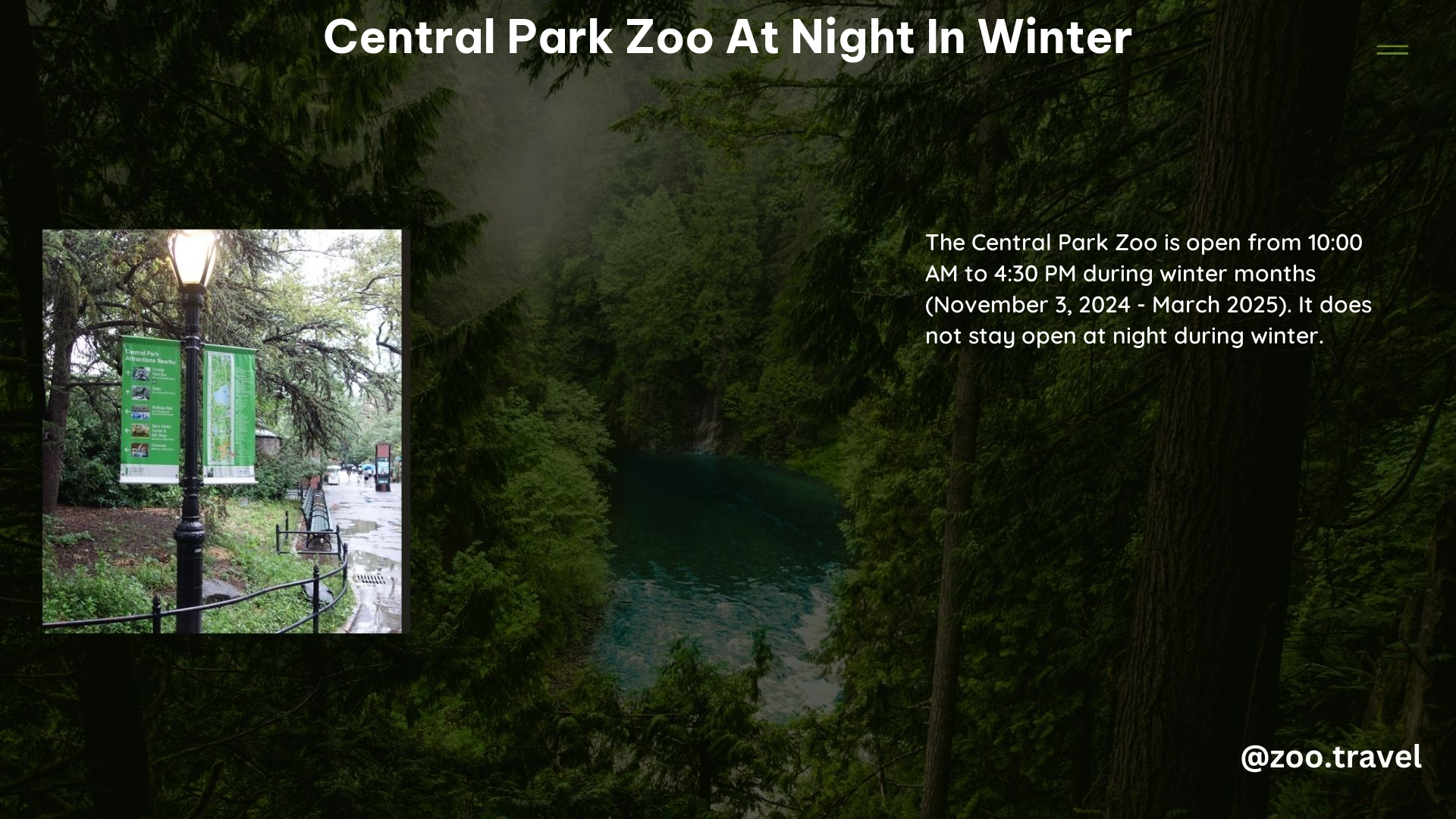 Central Park Zoo at Night in Winter