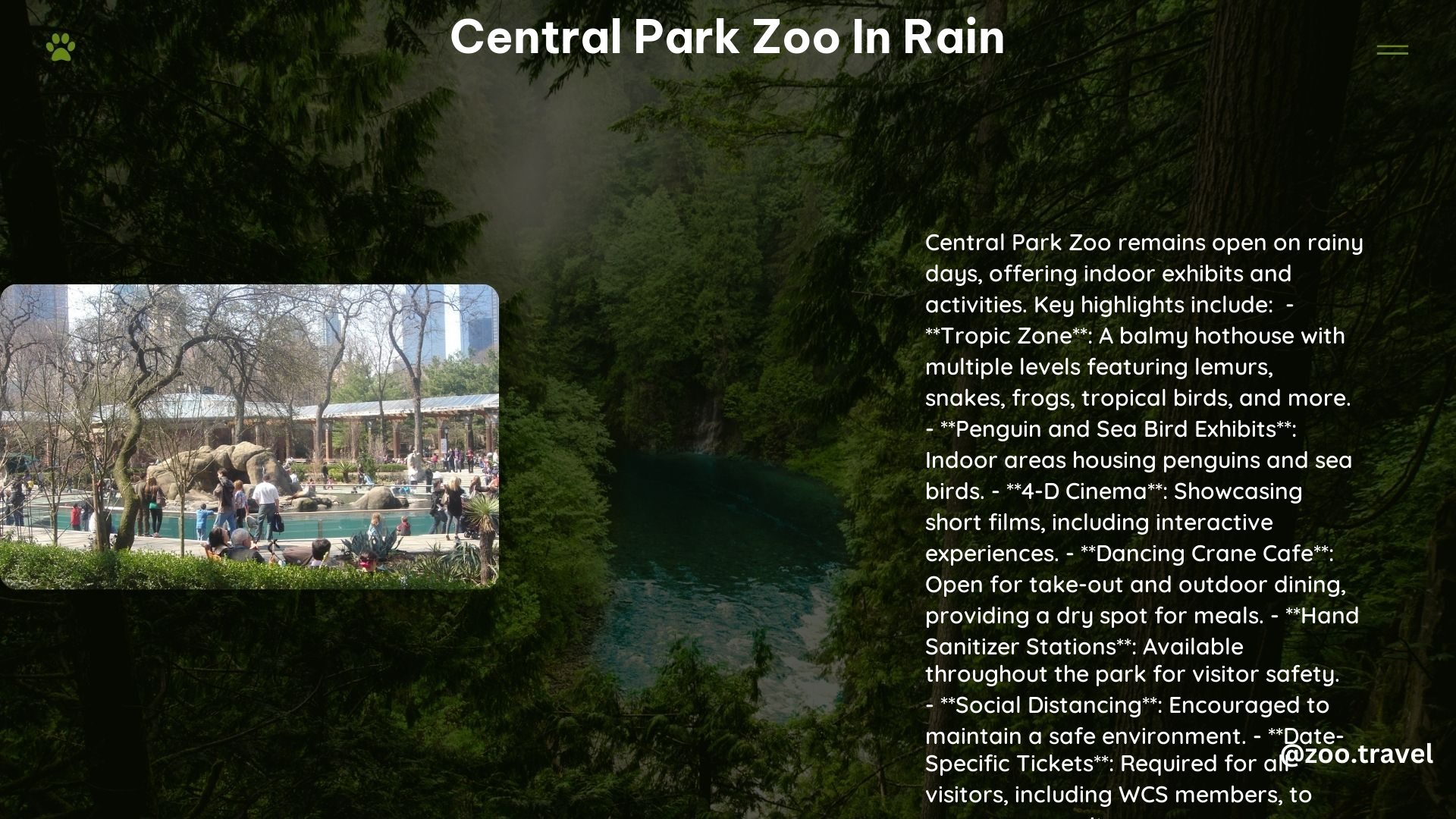 Central Park Zoo in Rain