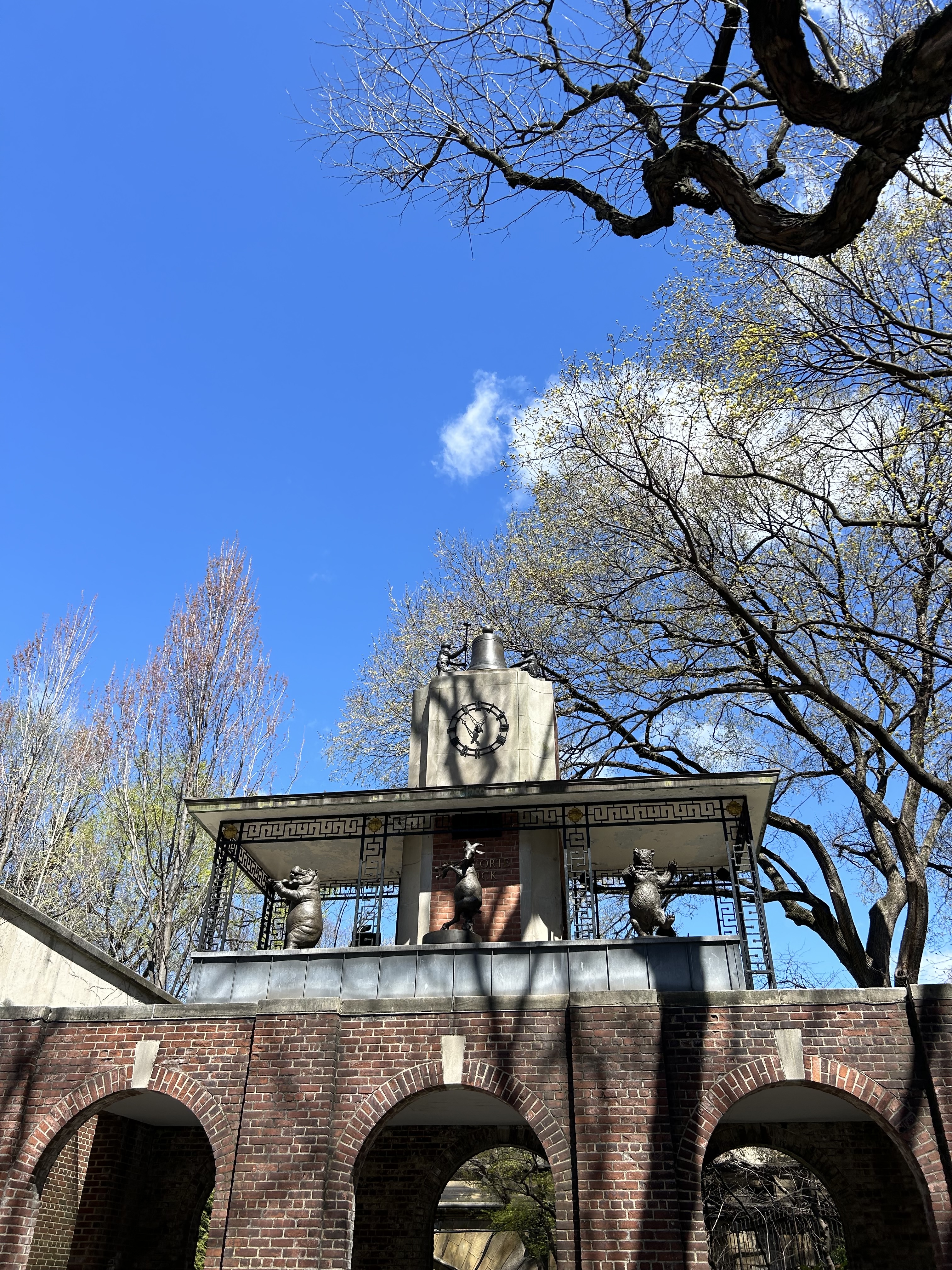 Central Park Zoo Seals Escape