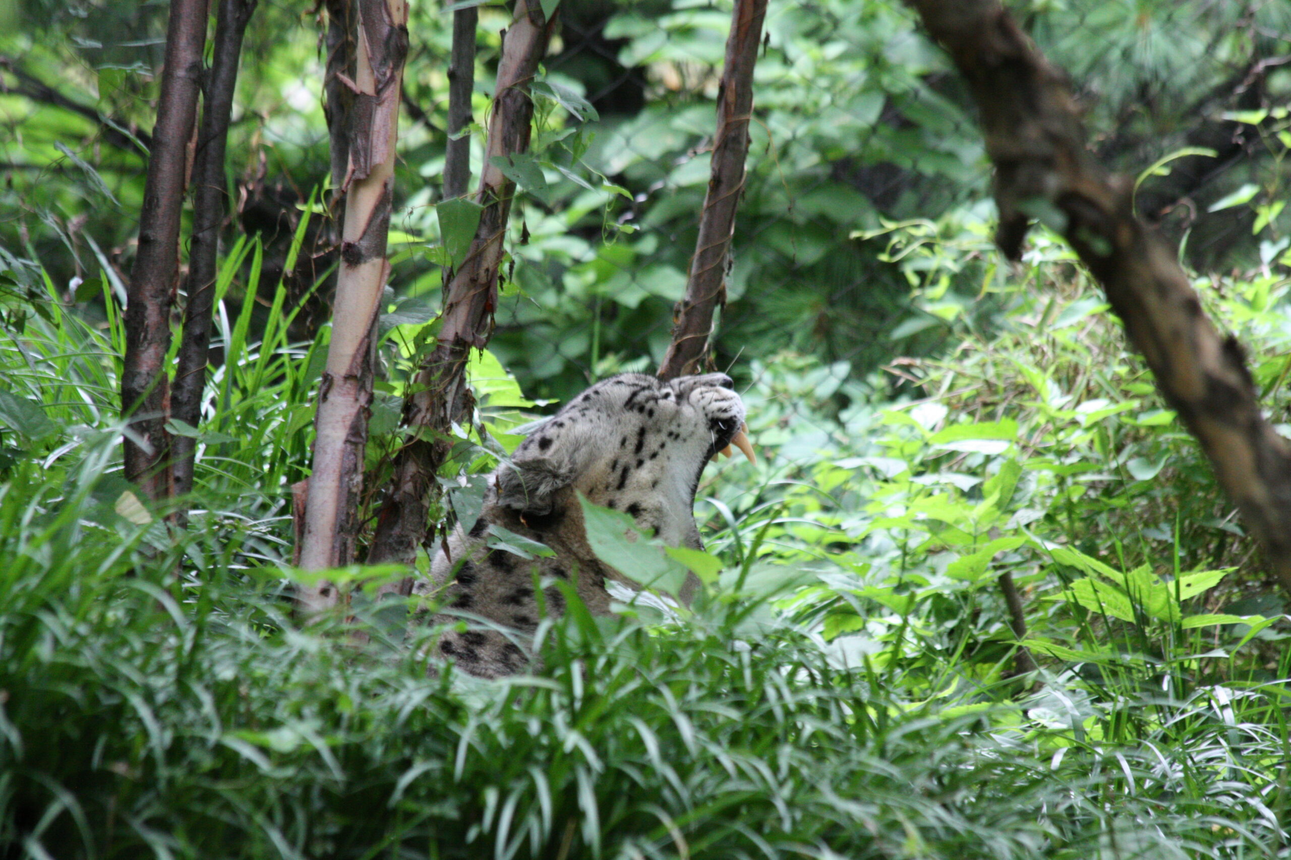 Central Park Zoo Spring Break Camp