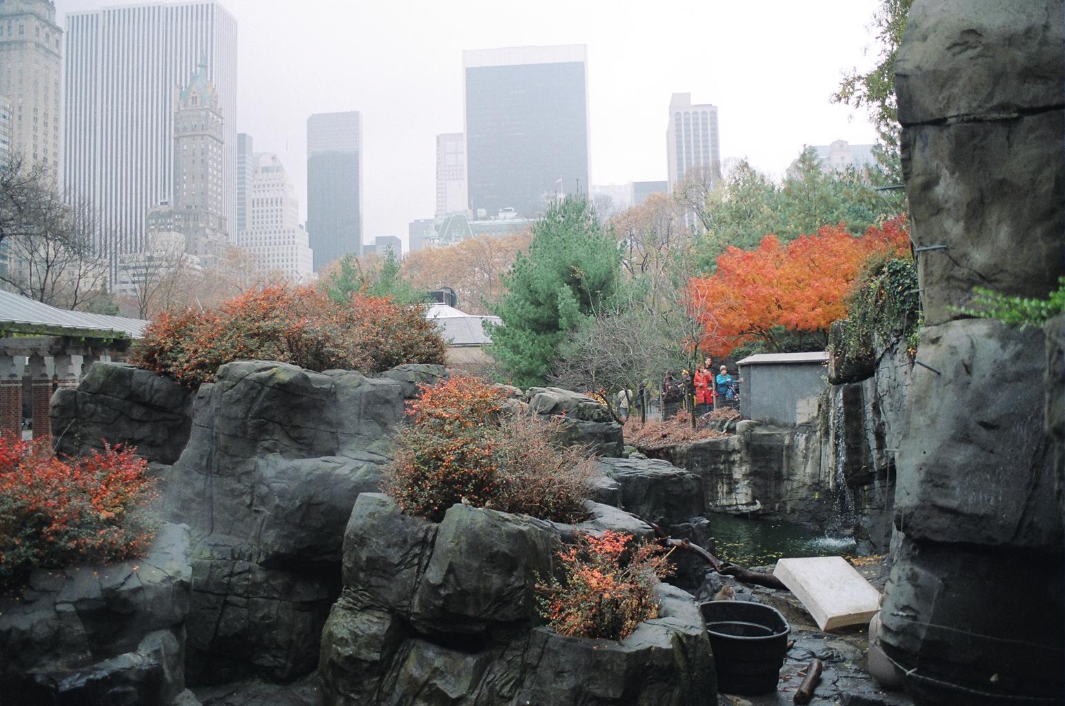 Central Park Zoo Birds