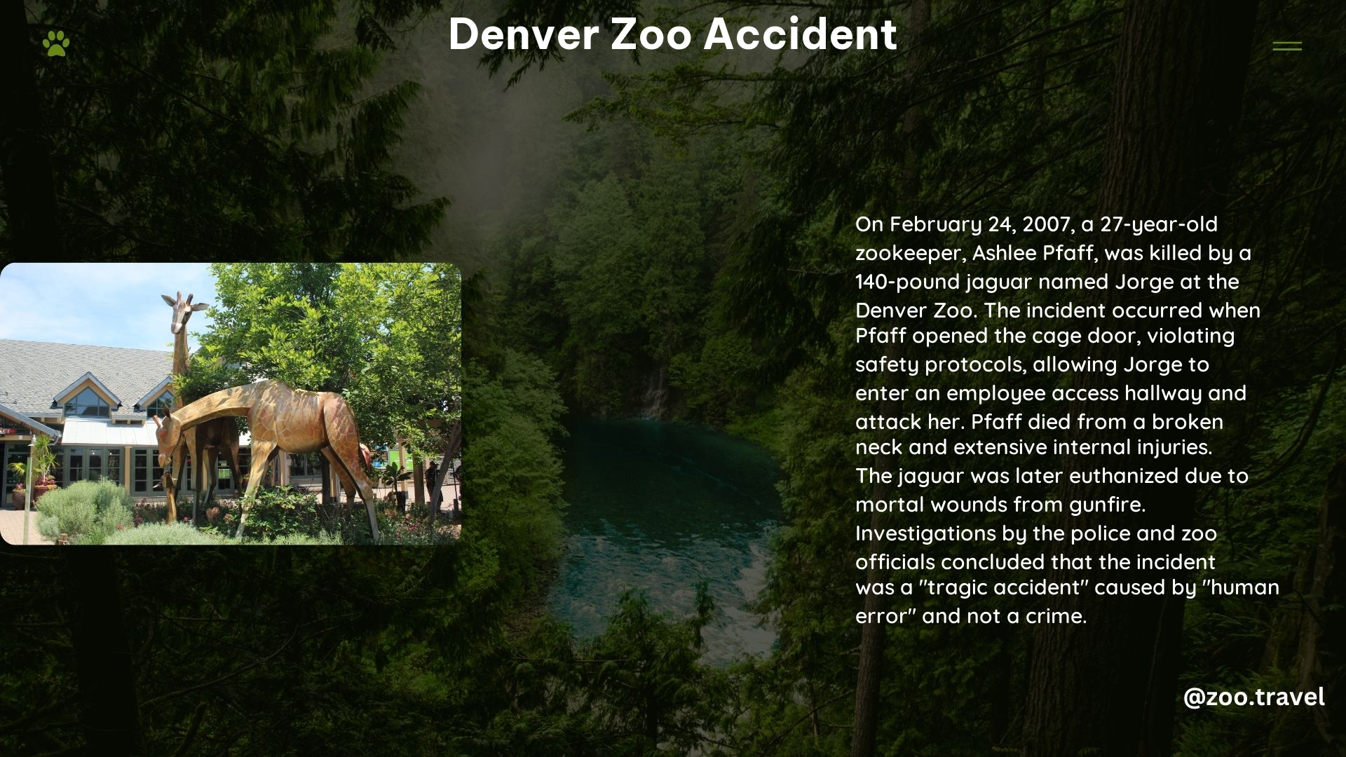 Denver Zoo Accident