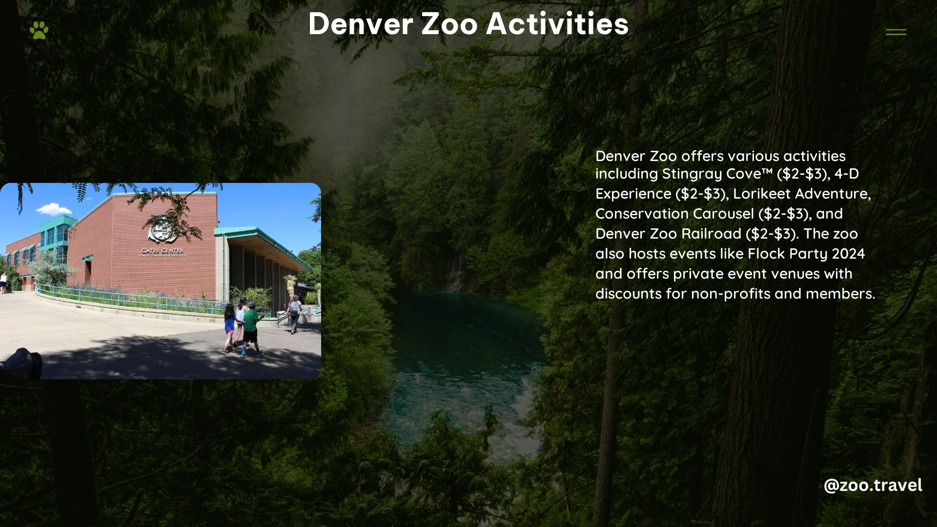 Denver Zoo Activities