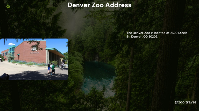 Denver Zoo Address