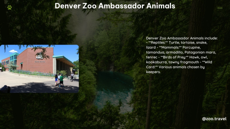 Denver Zoo Ambassador Animals