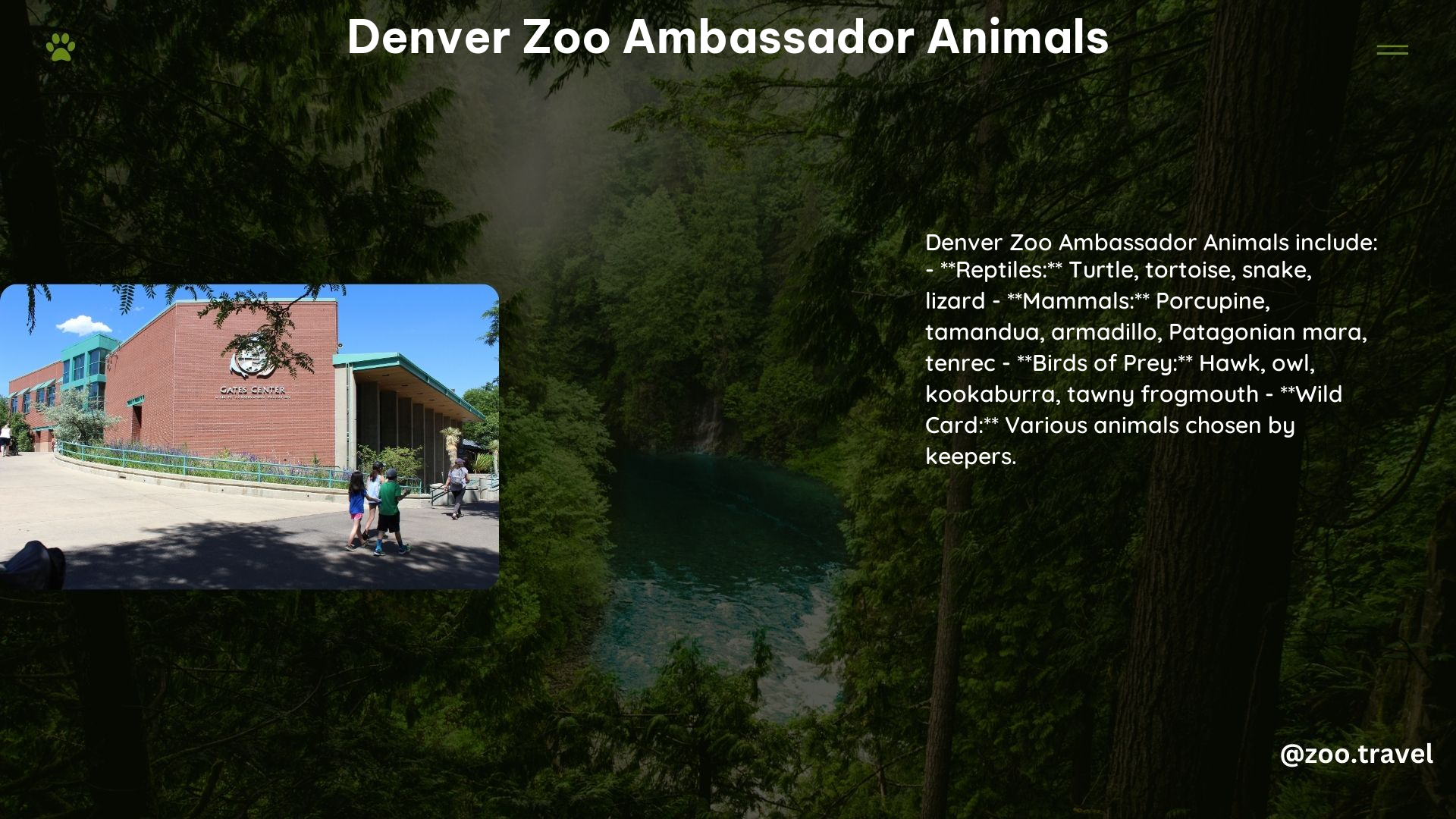 Denver Zoo Ambassador Animals