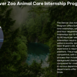 Denver Zoo Animal Care Internship Program