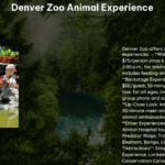 Denver Zoo Animal Experience