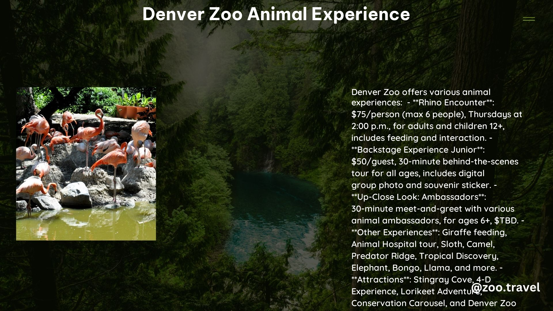 Denver Zoo Animal Experience