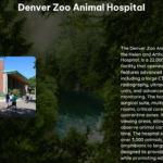 Denver Zoo Animal Hospital