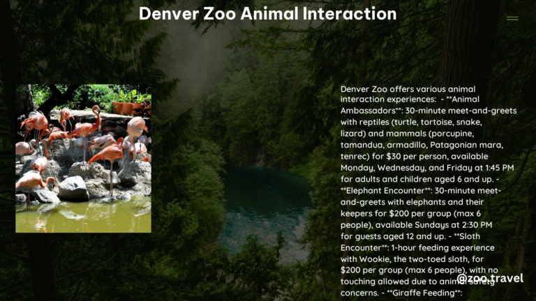 Denver Zoo Animal Interaction