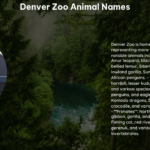 Denver Zoo Animal Names