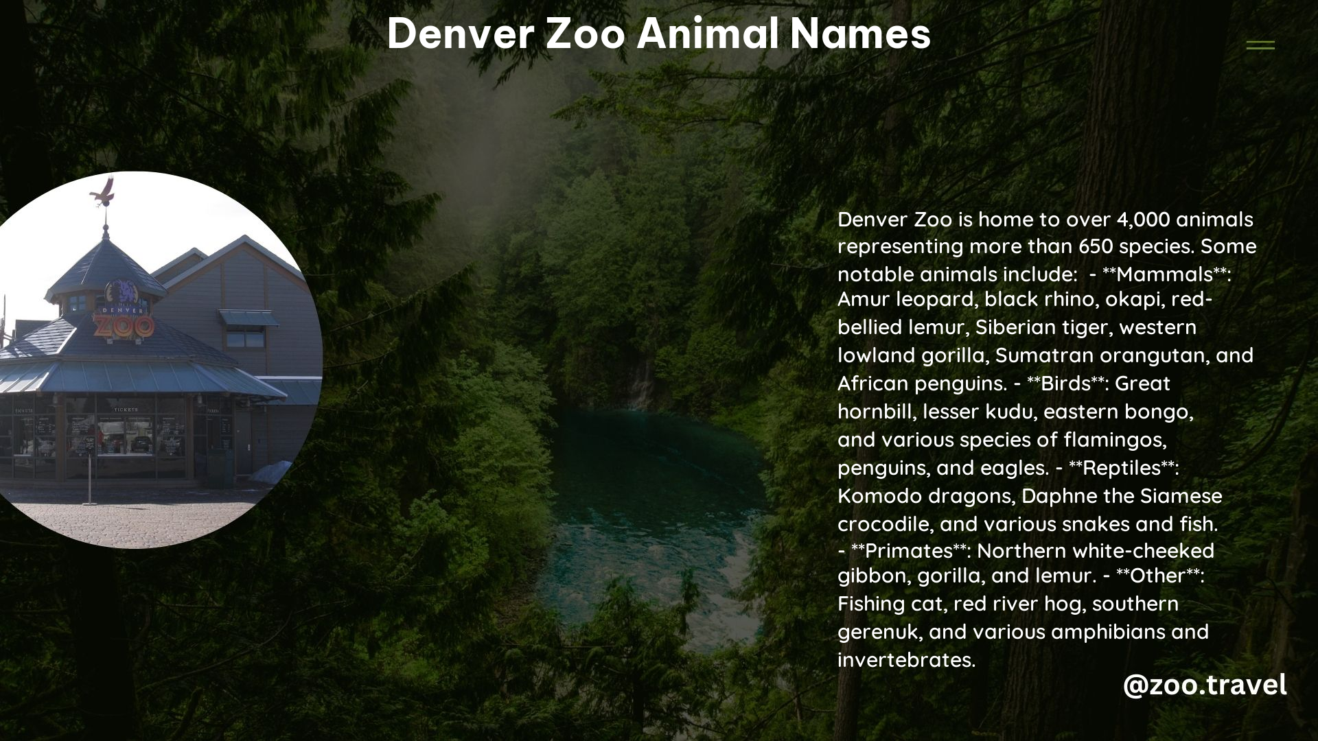 Denver Zoo Animal Names