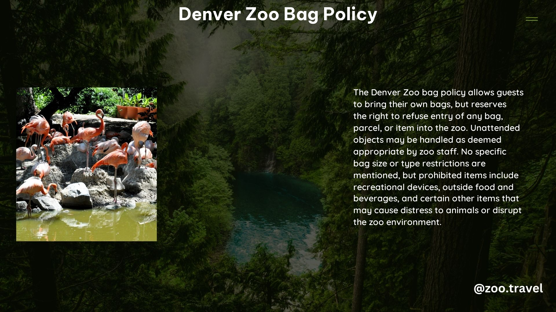 Denver Zoo Bag Policy