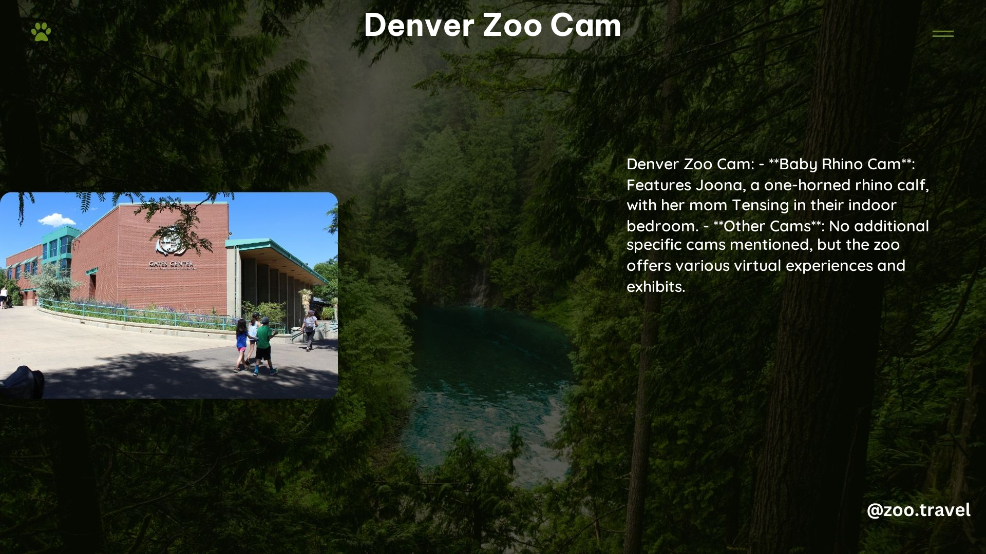 Denver Zoo Cam