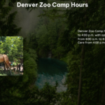 Denver Zoo Camp Hours