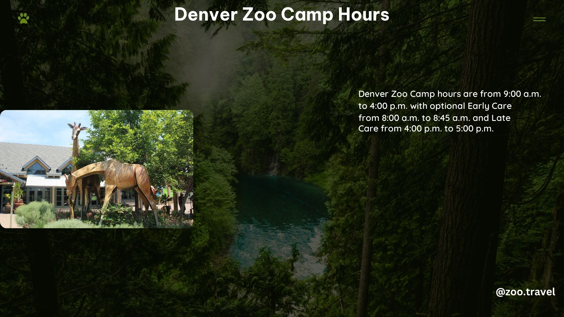 Denver Zoo Camp Hours