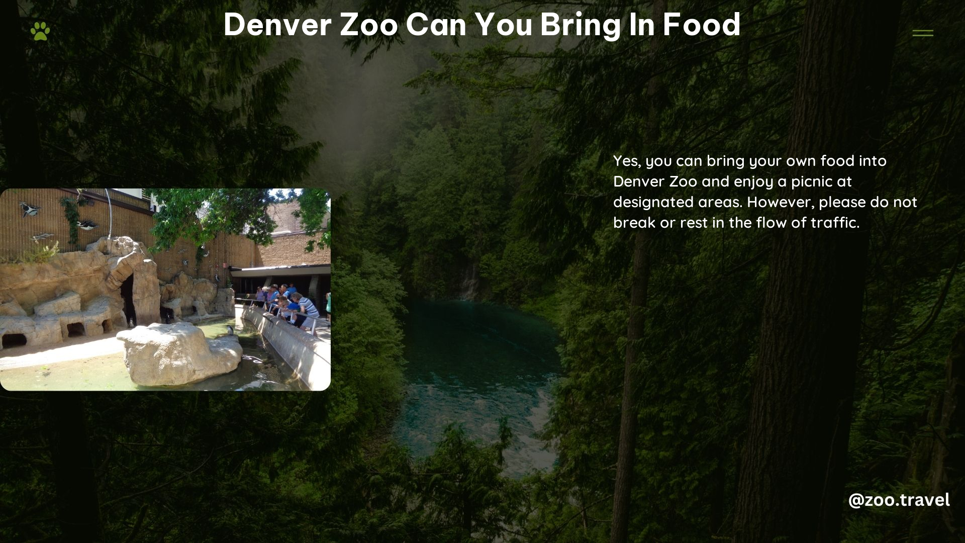 Denver Zoo Can You Bring in Food