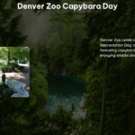 Denver Zoo Capybara Day