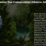 Denver Zoo Conservation Alliance Jobs