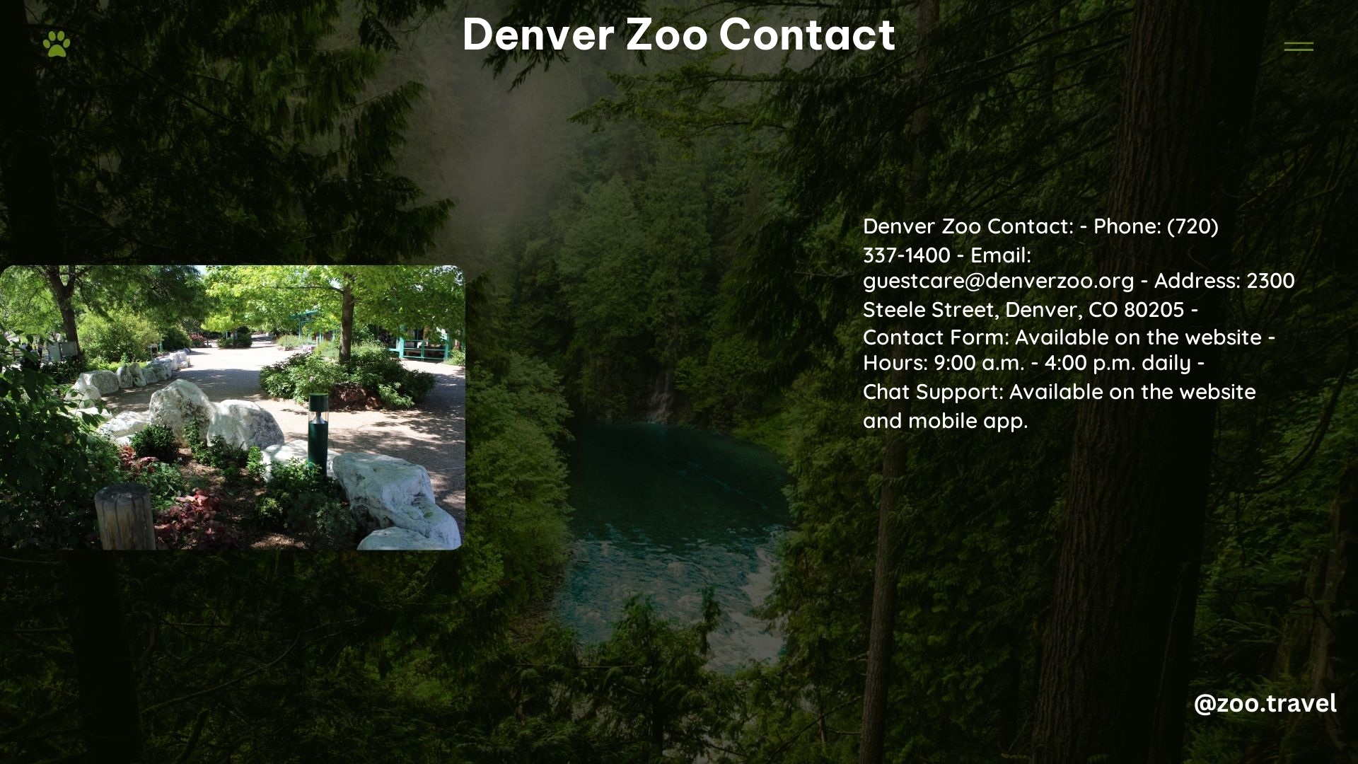 Denver Zoo Contact