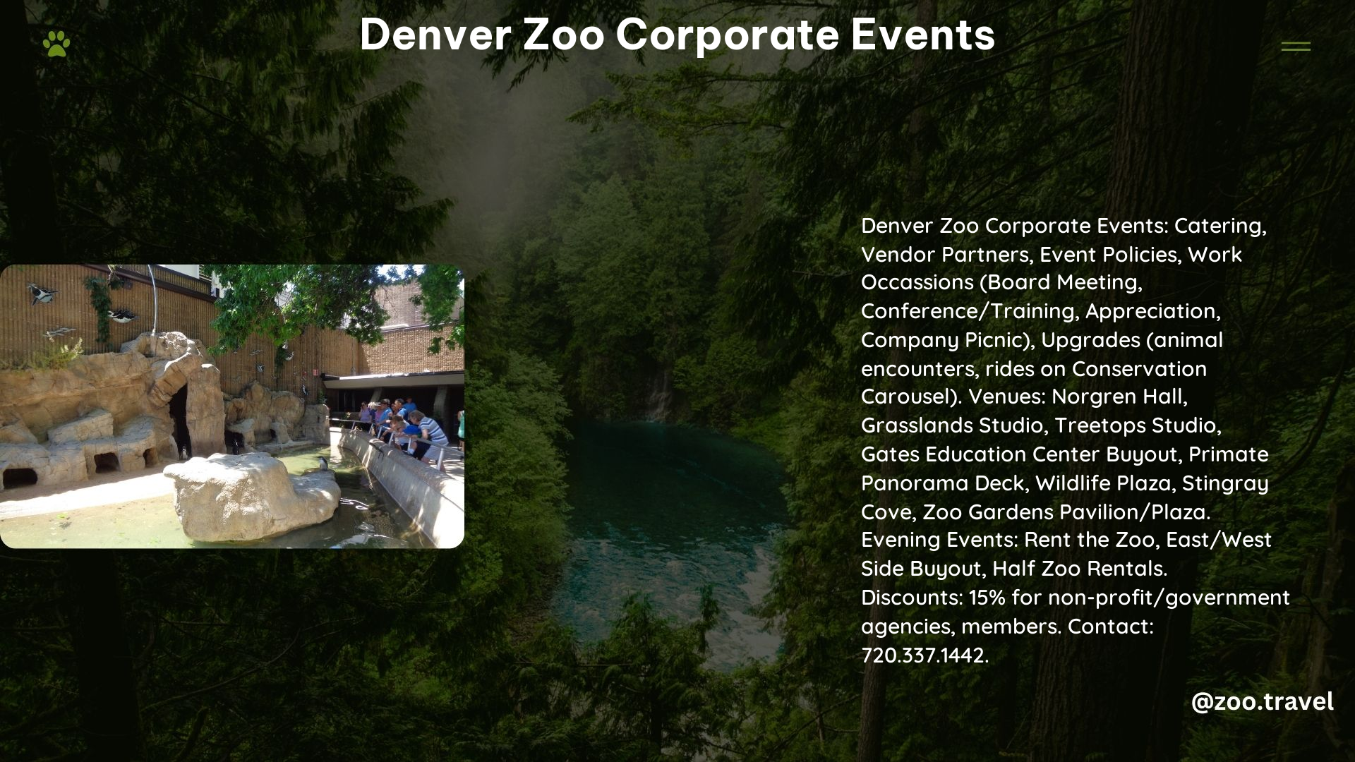 Denver Zoo Corporate Events