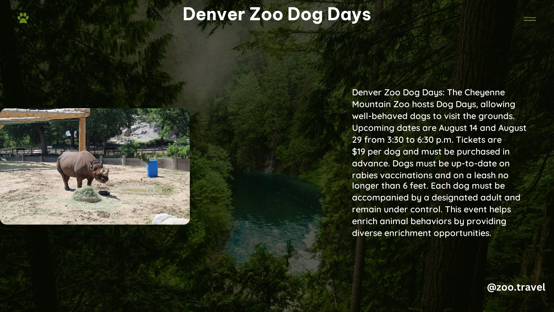 Denver Zoo Dog Days