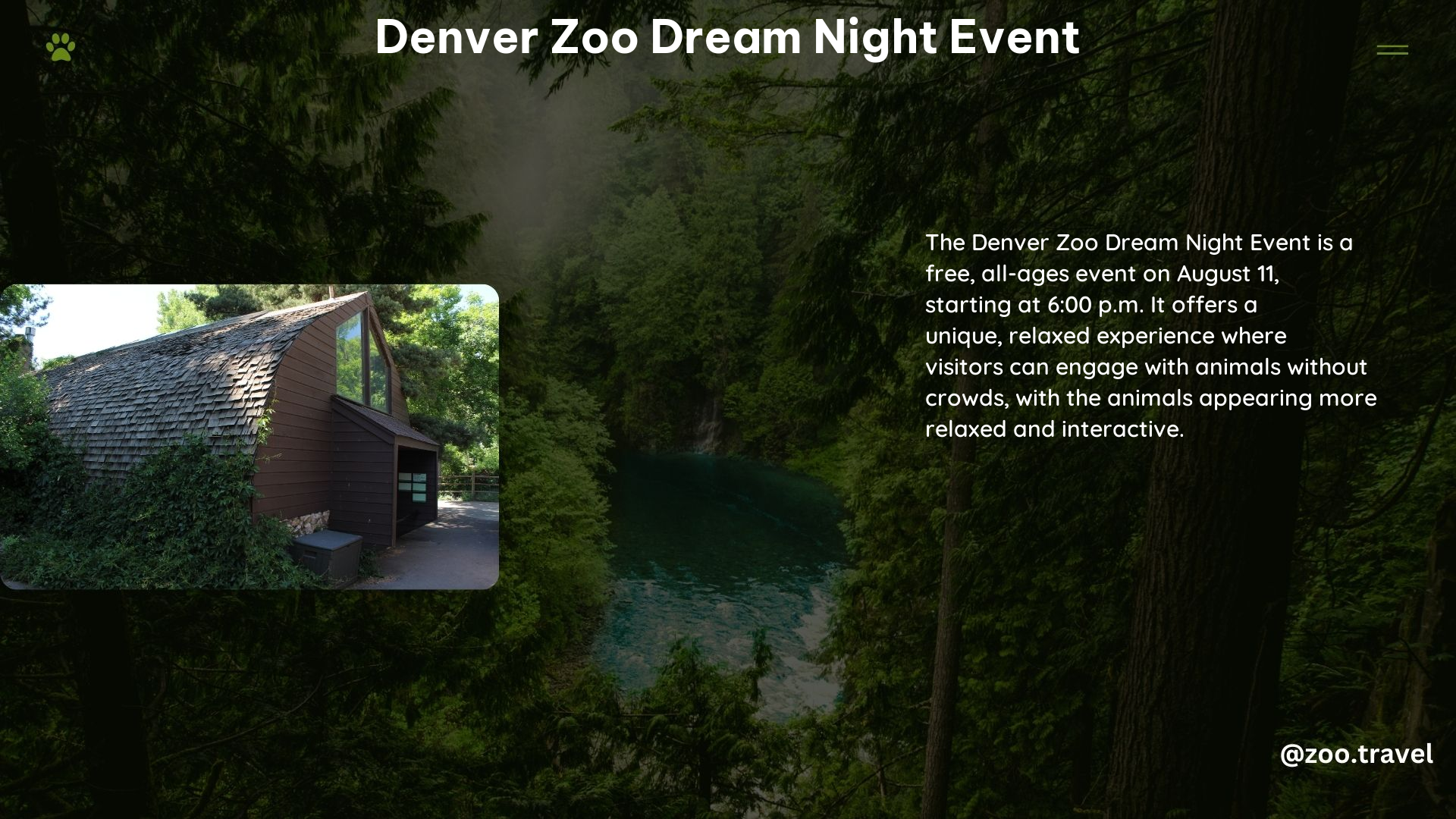 Denver Zoo Dream Night Event