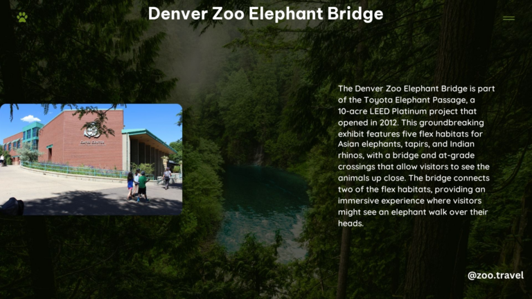 Denver Zoo Elephant Bridge