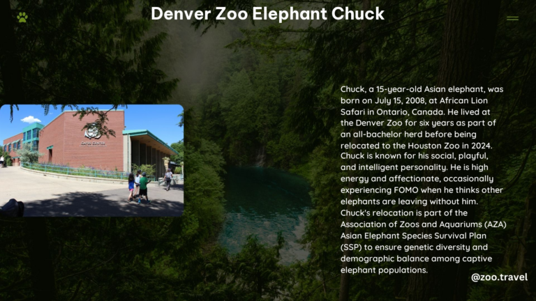 Denver Zoo Elephant Chuck